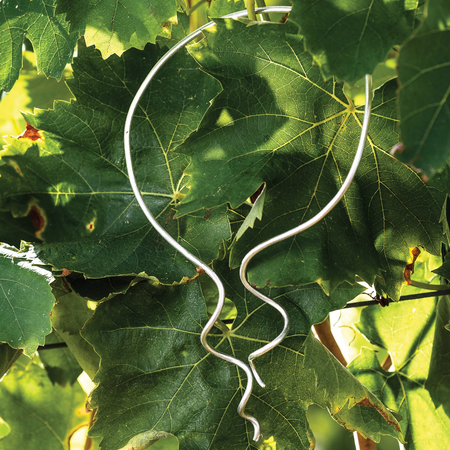 Collier LussodiVino decolleté in Argento 925